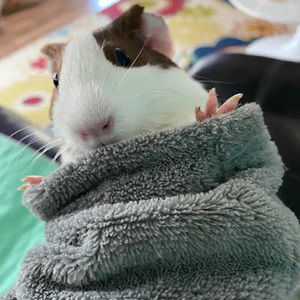 Meet your Posher, Central